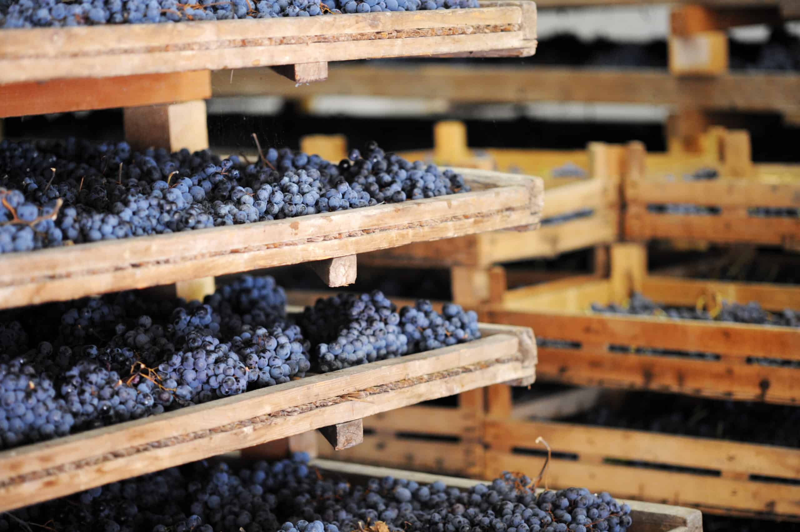 Amarone Veneto