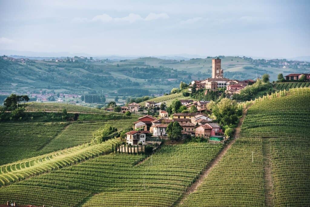 Nebbiolo e Barbaresco